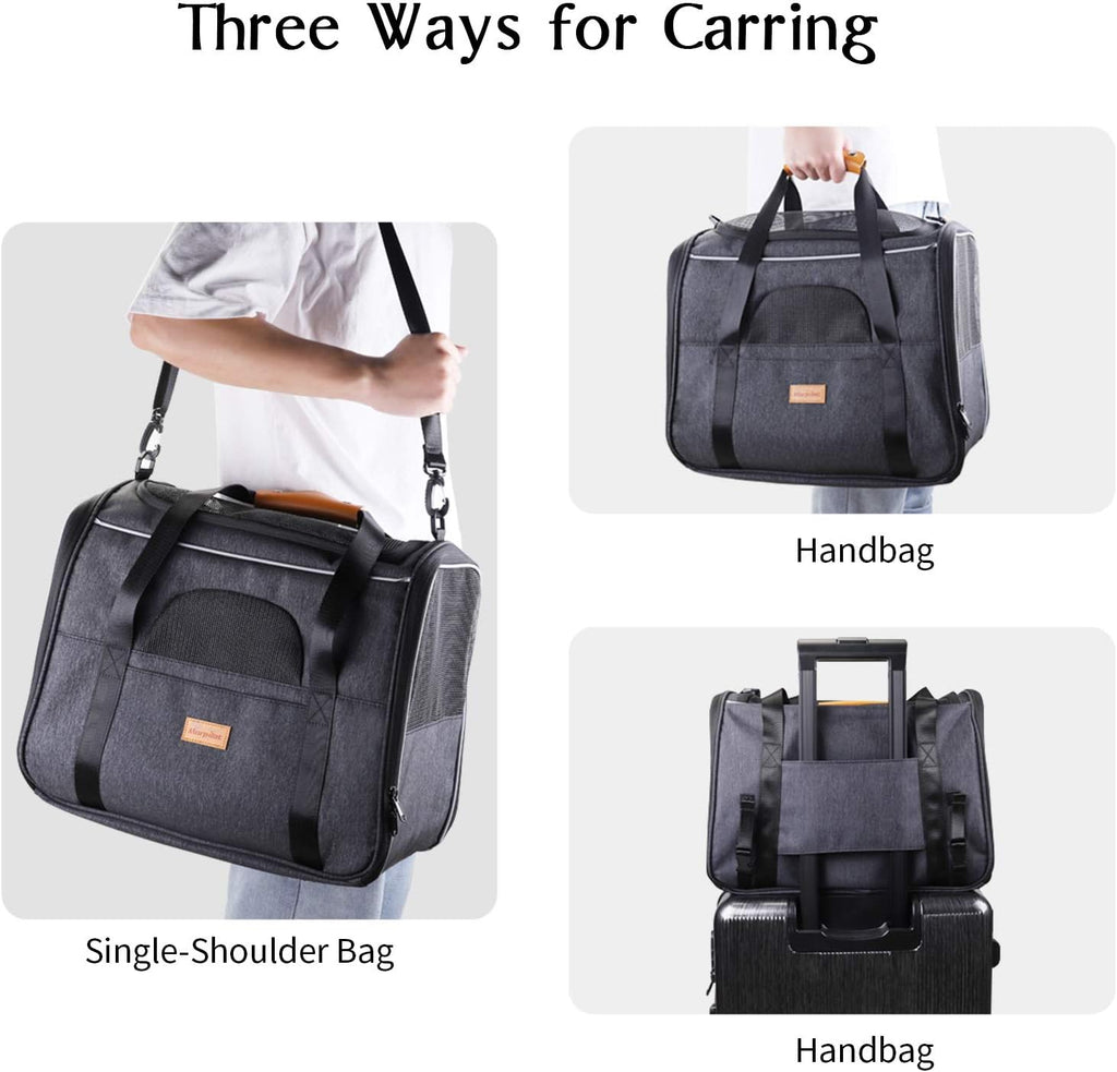 Cat Carrier, Portable Pet Carrier Bag for Cats and Small Dogs, Foldable Soft Sided Cat Transport Carrier, Airline Approved Pet Travel Carrier with Shoulder Strap, Removable Mat and Pet Bowl
