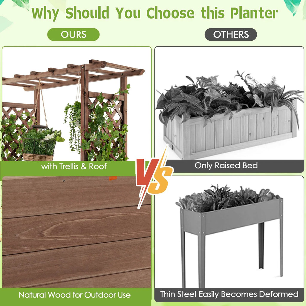 Raised Garden Bed with Arch Trellis