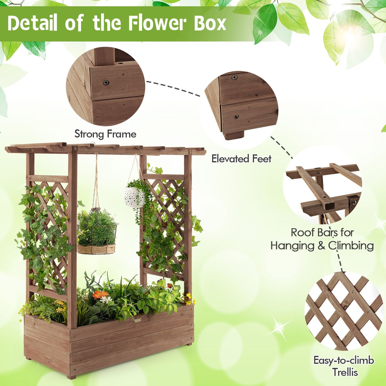 Raised Garden Bed with Arch Trellis