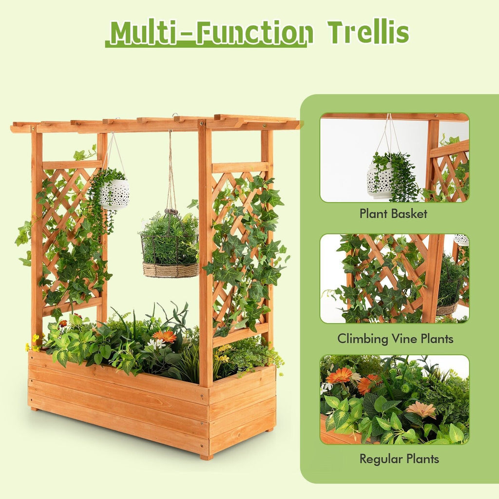 Raised Garden Bed with Arch Trellis