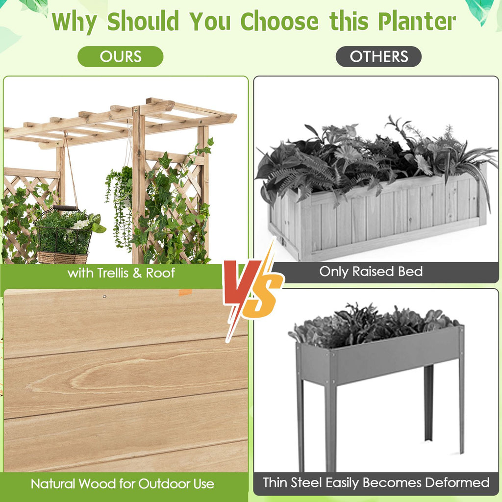 Raised Garden Bed with Arch Trellis