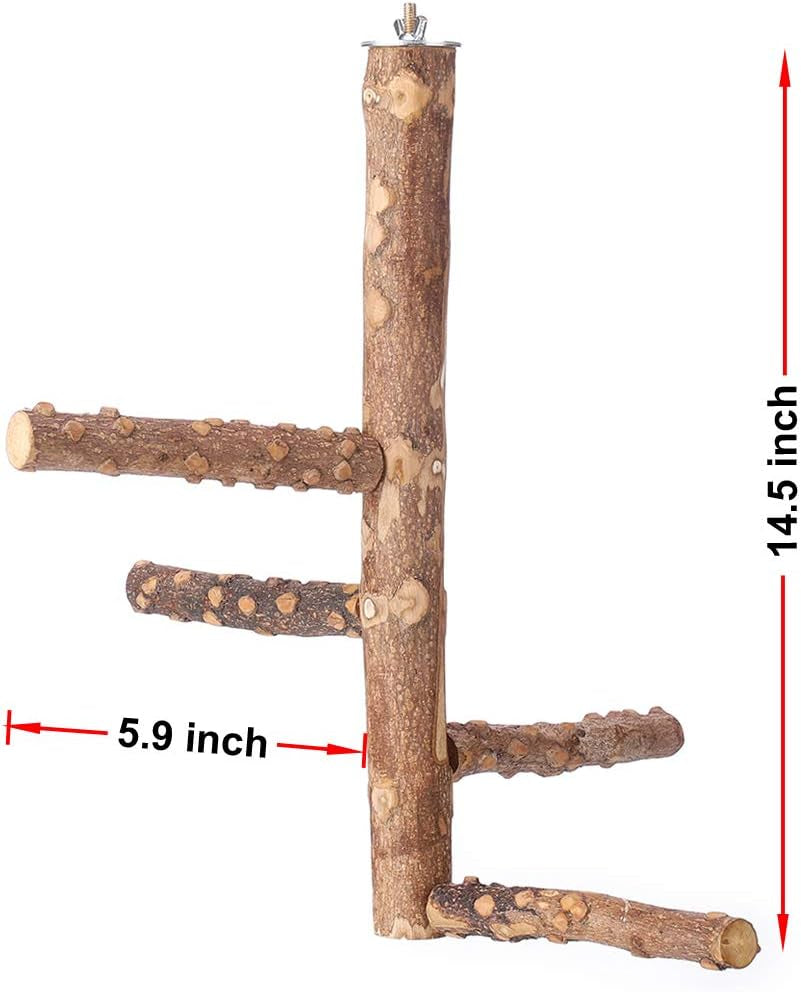 Bird Perch Nature Wood Stand for 3-4Pcs Small Parrots (M)