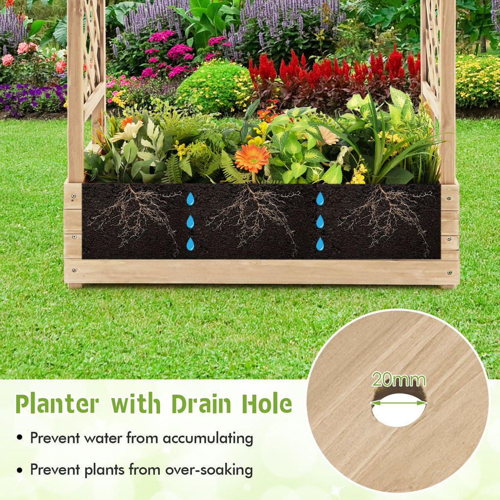 Raised Garden Bed with Arch Trellis