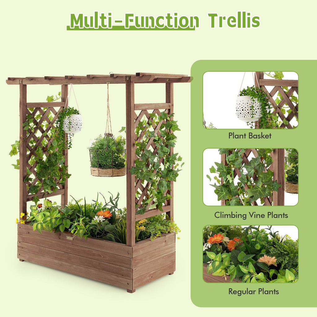 Raised Garden Bed with Arch Trellis