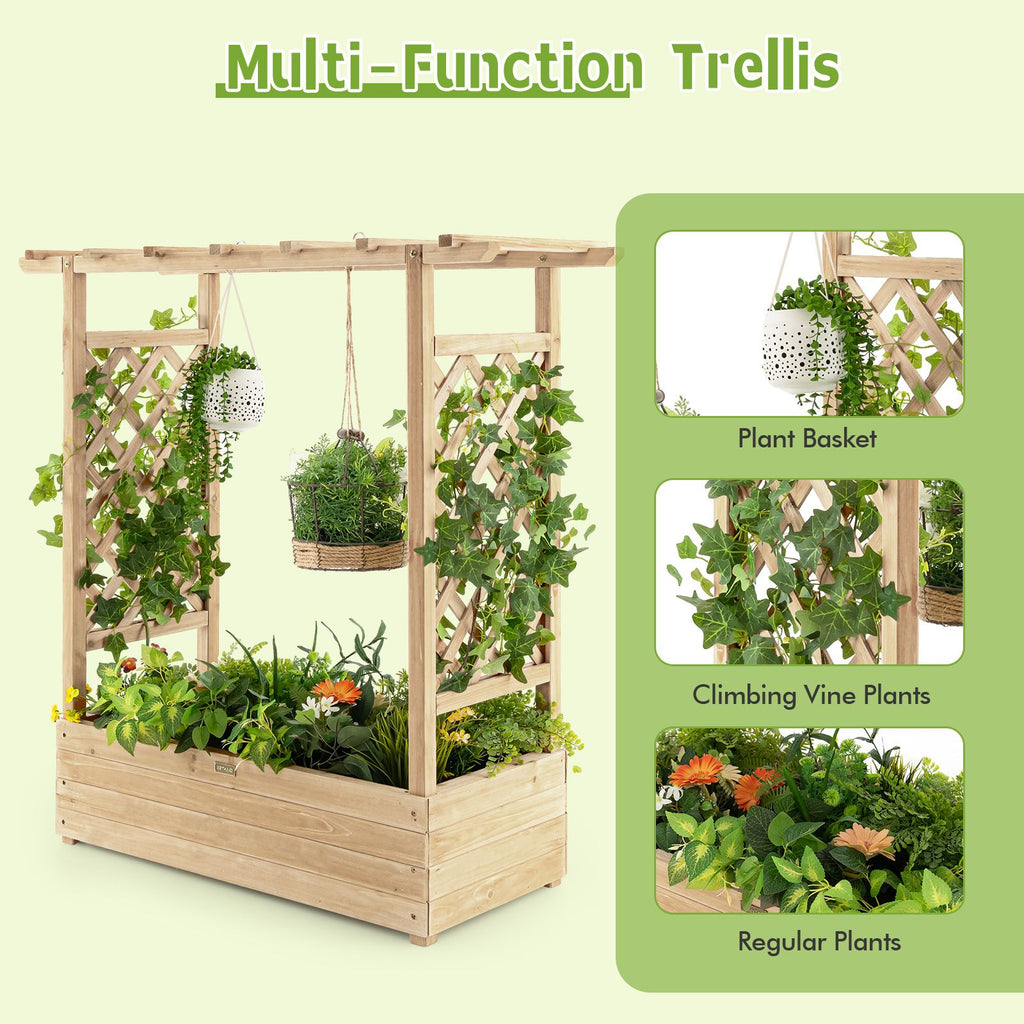 Raised Garden Bed with Arch Trellis