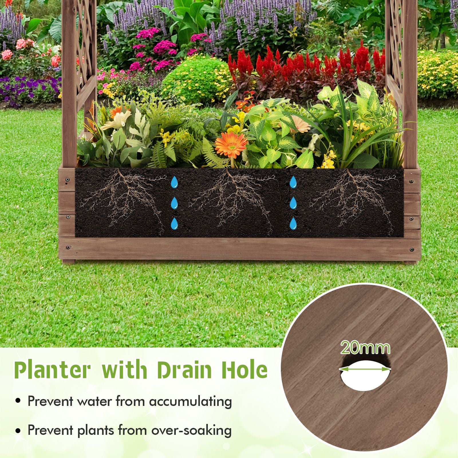 Raised Garden Bed with Arch Trellis